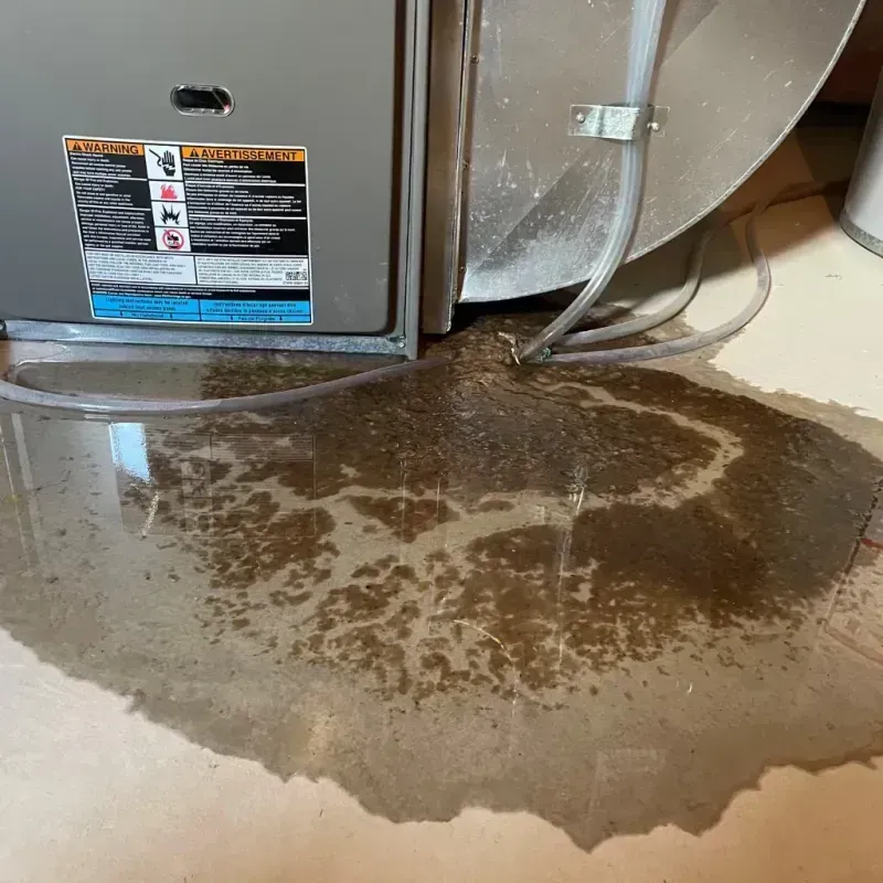 Appliance Leak Cleanup in Fish Lake, IN